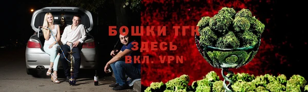 сатива Вязьма