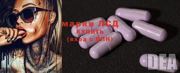 сатива Вязьма