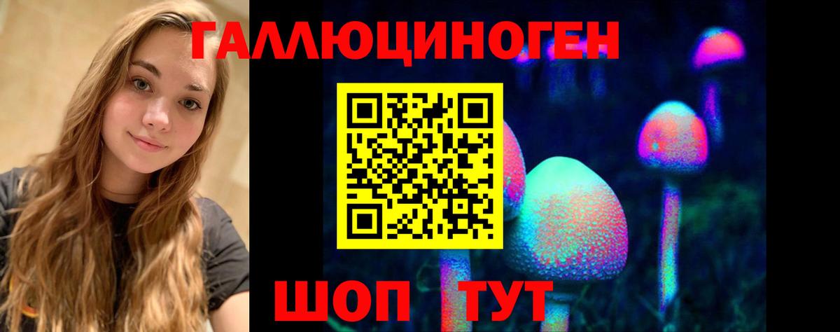Мариинск  Галлюциногенные грибы MAGIC MUSHROOMS  где можно купить   Вход с VPN 